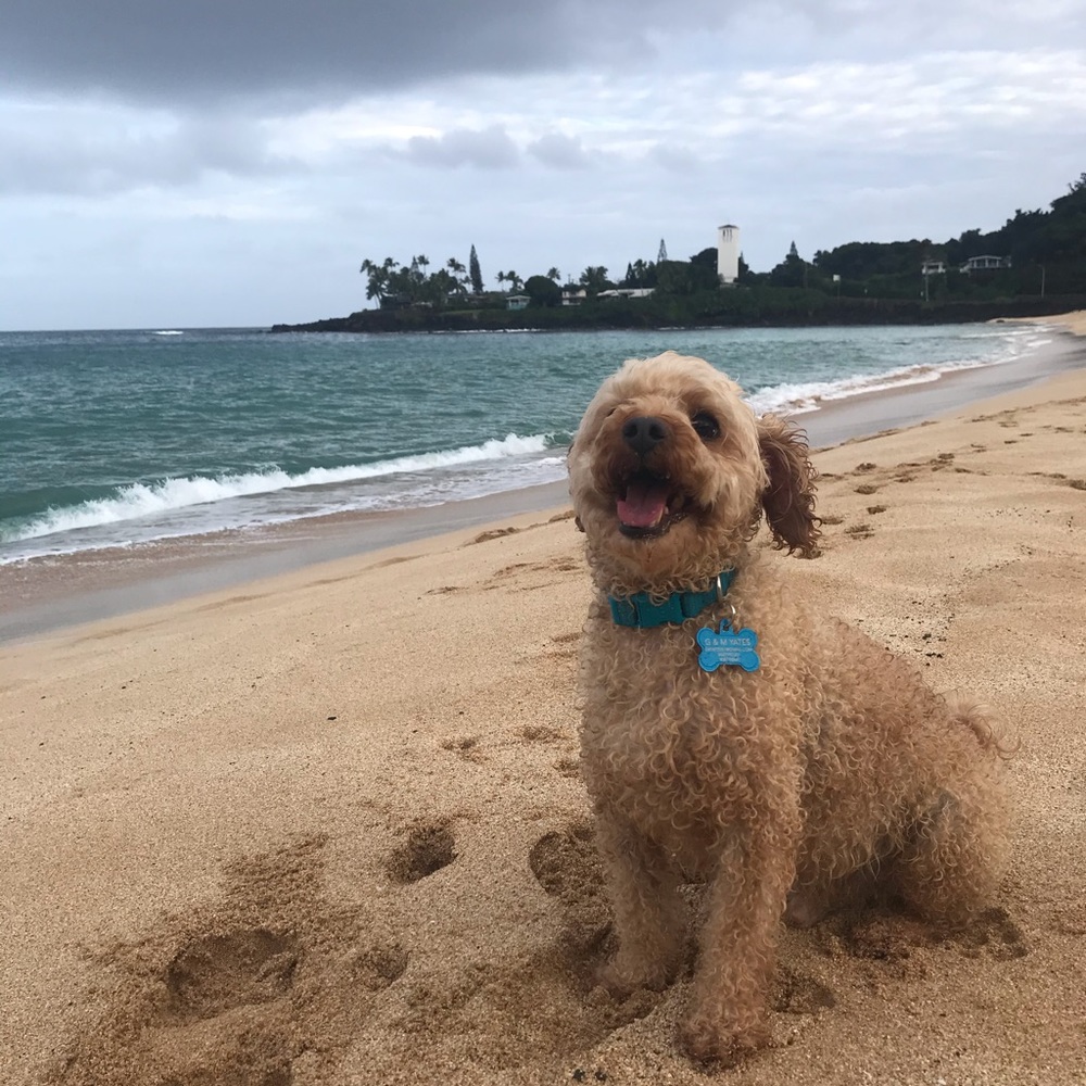 Meet your Posher, Kaylah